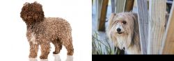 Spanish Water Dog vs Smithfield - Breed Comparison