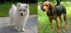 Spitz vs Polish Hound - Breed Comparison