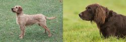 Styrian Coarse Haired Hound vs German Longhaired Pointer - Breed Comparison