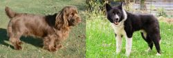 Sussex Spaniel vs Karelian Bear Dog - Breed Comparison