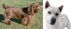 Sussex Spaniel vs Kishu - Breed Comparison