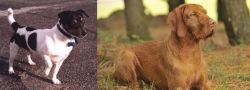 Teddy Roosevelt Terrier vs Hungarian Wirehaired Vizsla - Breed Comparison