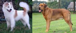 Thai Bangkaew vs Broholmer - Breed Comparison