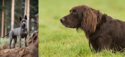 Thai Ridgeback vs German Longhaired Pointer - Breed Comparison
