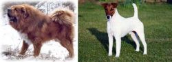 Tibetan Kyi Apso vs Fox Terrier (Smooth) - Breed Comparison