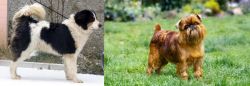 Tornjak vs Brussels Griffon - Breed Comparison