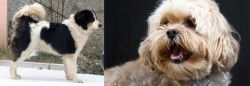 Tornjak vs Lhasapoo - Breed Comparison