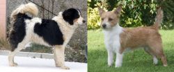 Tornjak vs Portuguese Podengo - Breed Comparison