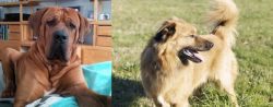 Tosa vs Basque Shepherd - Breed Comparison