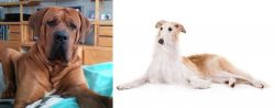 Tosa vs Borzoi - Breed Comparison