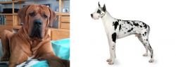 Tosa vs Great Dane - Breed Comparison