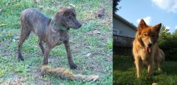 Treeing Cur vs Karelo-Finnish Laika - Breed Comparison