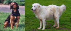 Tyrolean Hound vs Abruzzenhund - Breed Comparison