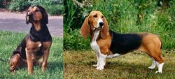 Tyrolean Hound vs Basset Artesien Normand - Breed Comparison