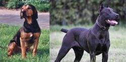 Tyrolean Hound vs Canis Panther - Breed Comparison