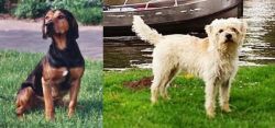 Tyrolean Hound vs Dutch Smoushond - Breed Comparison