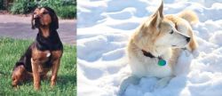 Tyrolean Hound vs Labrador Husky - Breed Comparison