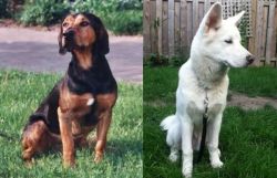 Tyrolean Hound vs Phung San - Breed Comparison