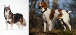 Utonagan vs Brittany - Breed Comparison