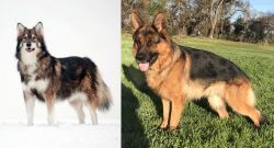 Utonagan vs German Shepherd - Breed Comparison