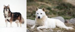 Utonagan vs Jindo - Breed Comparison