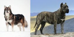 Utonagan vs Presa Canario - Breed Comparison