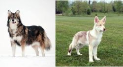 Utonagan vs Saarlooswolfhond - Breed Comparison