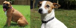 Valley Bulldog vs Tenterfield Terrier - Breed Comparison