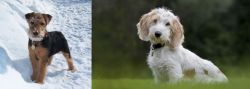 Welsh Terrier vs Petit Basset Griffon Vendeen - Breed Comparison