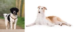 Wetterhoun vs Borzoi - Breed Comparison