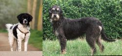 Wetterhoun vs Griffon Nivernais - Breed Comparison