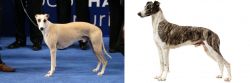 Whippet vs Magyar Agar - Breed Comparison