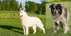 White Shepherd vs Pyrenean Shepherd - Breed Comparison