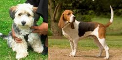 Yo-Chon vs Artois Hound - Breed Comparison