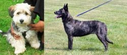 Yo-Chon vs Dutch Shepherd - Breed Comparison