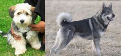 Yo-Chon vs Jamthund - Breed Comparison
