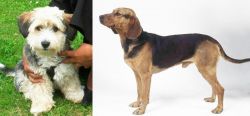 Yo-Chon vs Serbian Hound - Breed Comparison