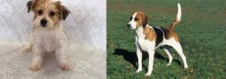 Yochon vs English Foxhound - Breed Comparison